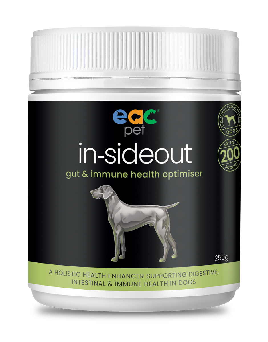 in-sideout Dog Formula - Pre &amp; Probiotic Natural Nutraceutical Supplement For Dogs