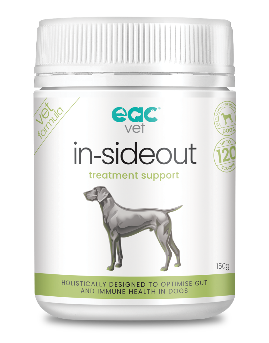 in-sideout Dog - Vet Only Treatment Support