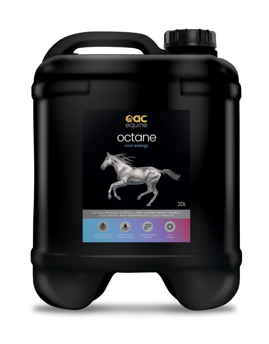 octane - Cool Energy Oil for Horses