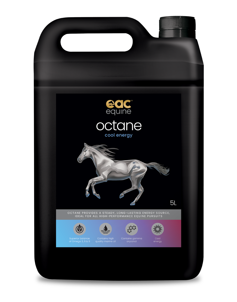 octane - Cool Energy Oil for Horses
