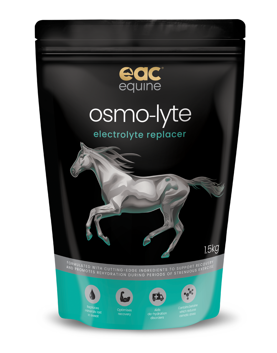 osmo-lyte - Electrolyte Replacer For Horses