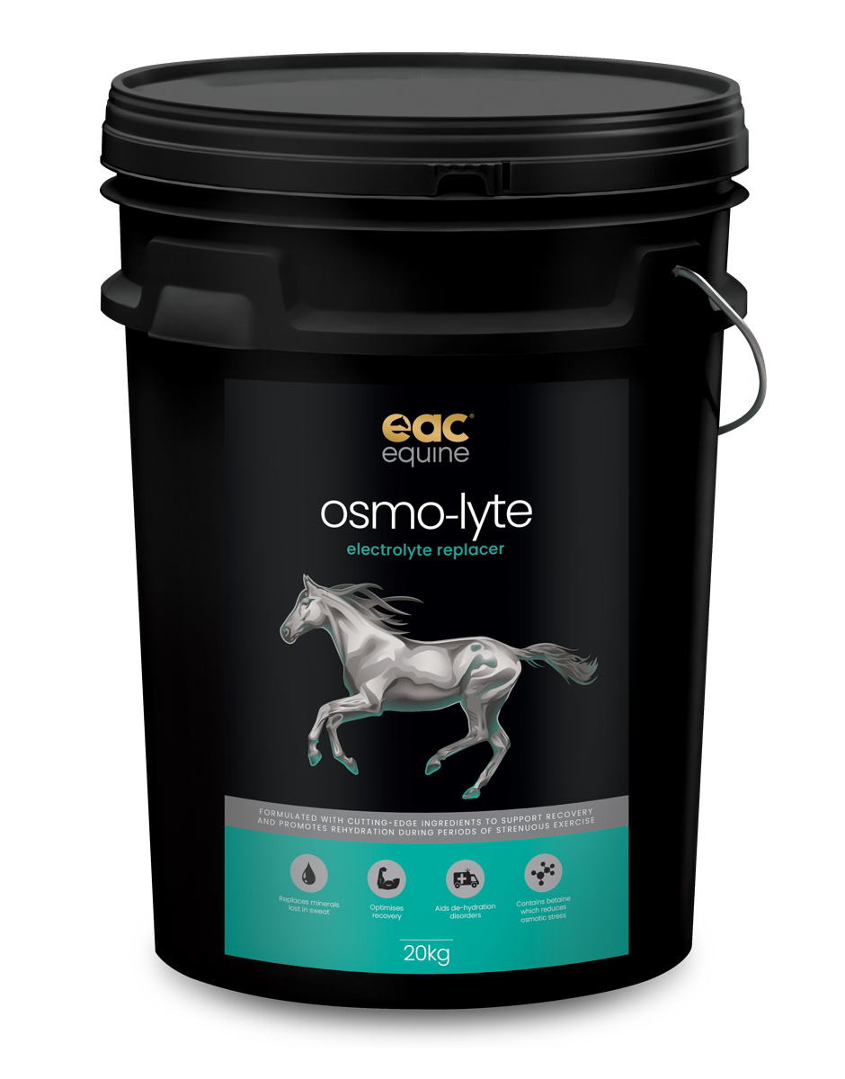 osmo-lyte - Electrolyte Replacer For Horses