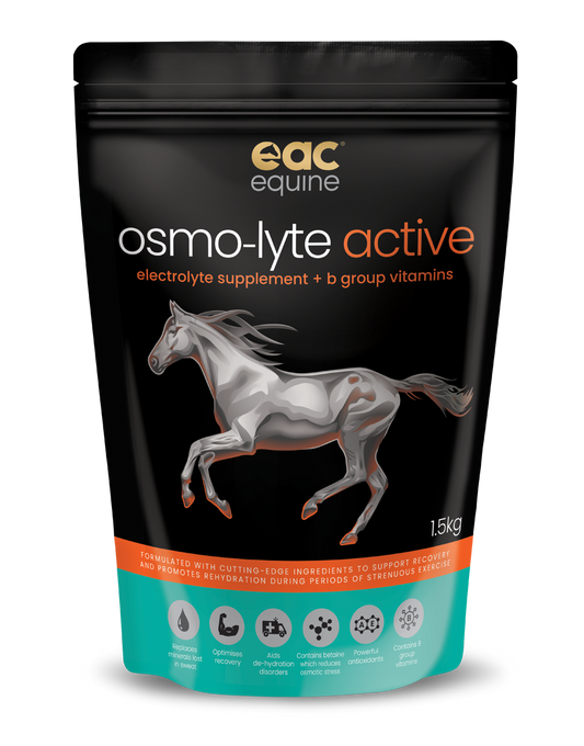 osmo-lyte active - Electrolyte Supplement + B Group Vitamins
