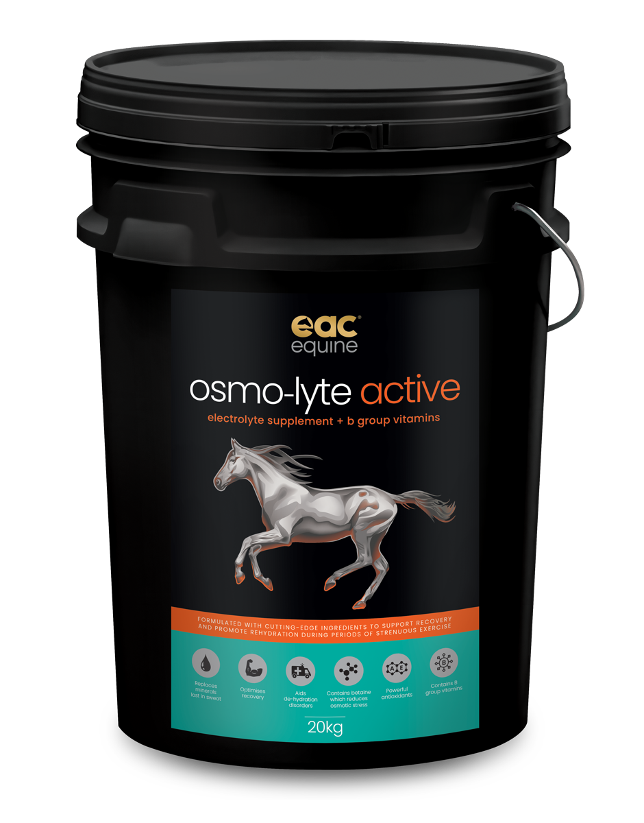 osmo-lyte active - Electrolyte Supplement + B-Group Vitamins For Horses