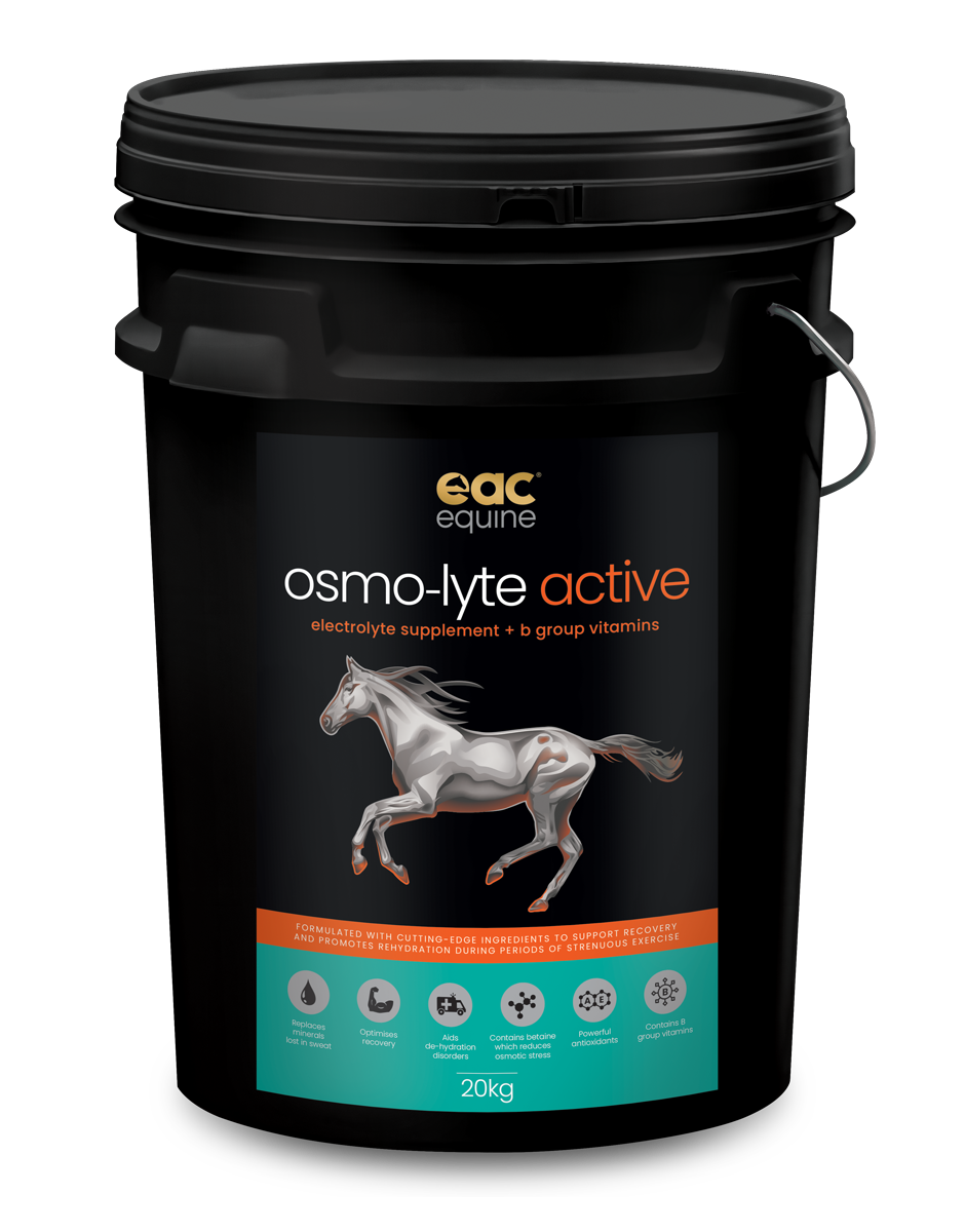osmo-lyte active - Electrolyte Supplement + B-Group Vitamins For Horses