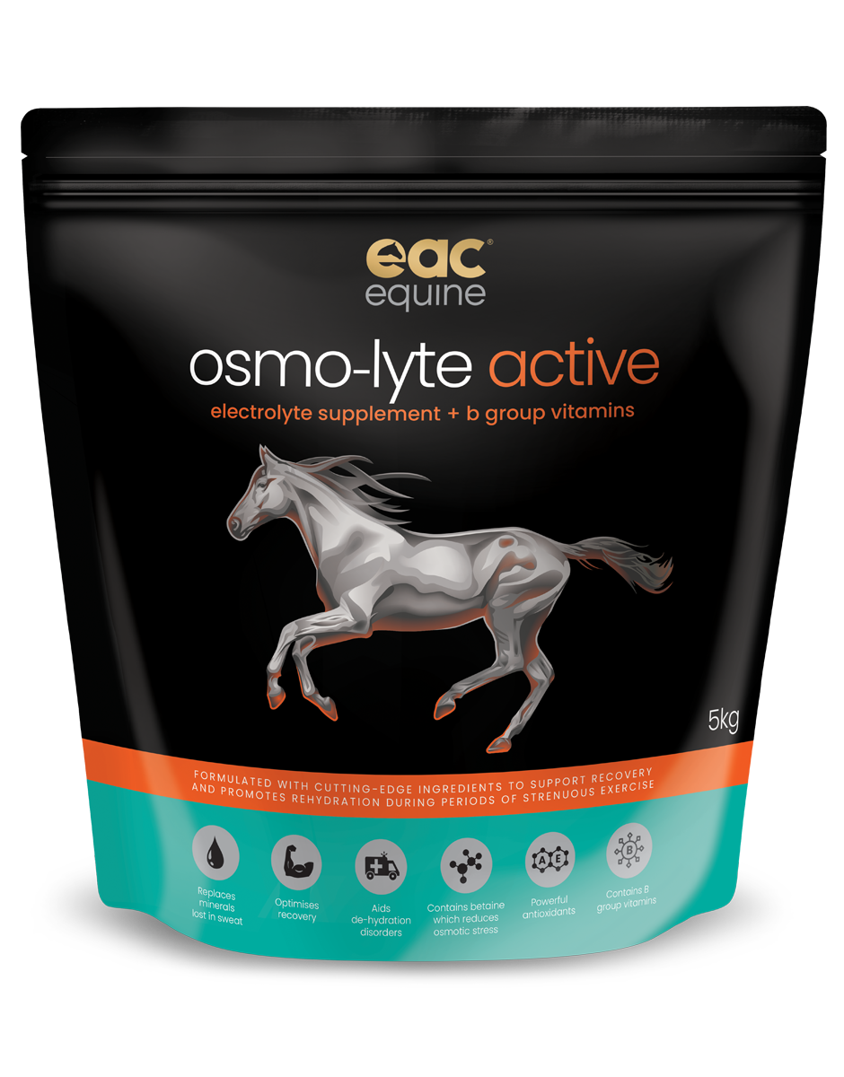 osmo-lyte active - Electrolyte Supplement + B Group Vitamins