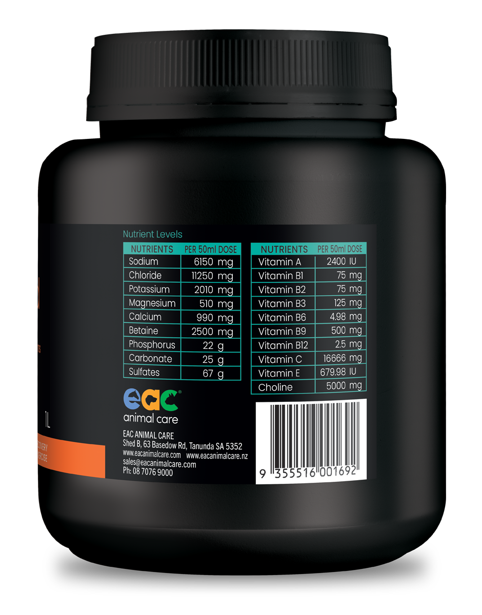 osmo-lyte rapid - Electrolyte Paste + B Group Vitamins