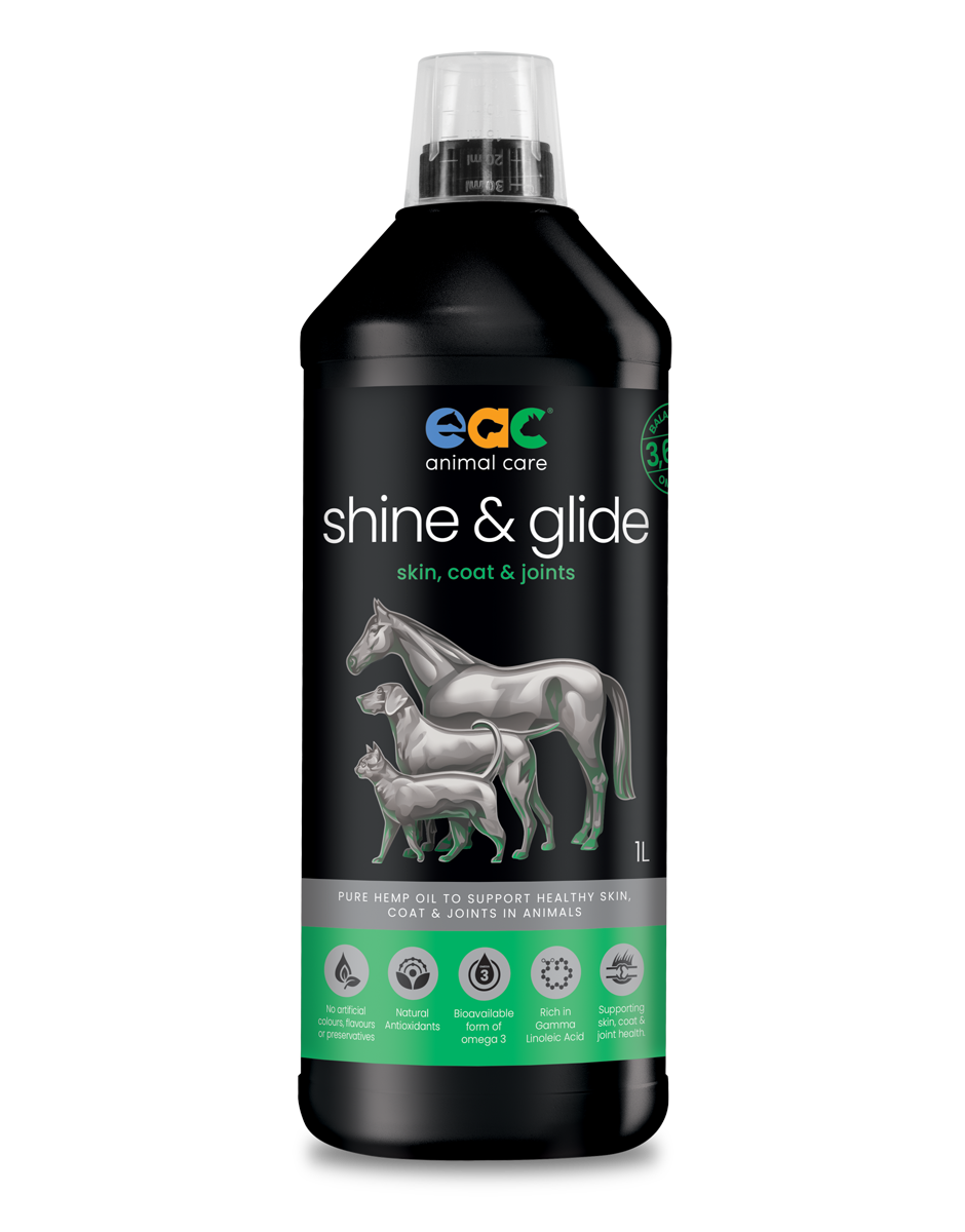 shine &amp; glide - Pure Natural Cold-Pressed Hemp Oil for Horses, Dogs and Cats