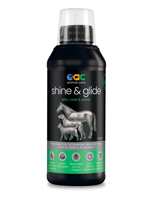 shine & glide - Pure Hemp Oil To Help Support Healthy Skin, Coat & Joints in Horses, Dogs and Cats