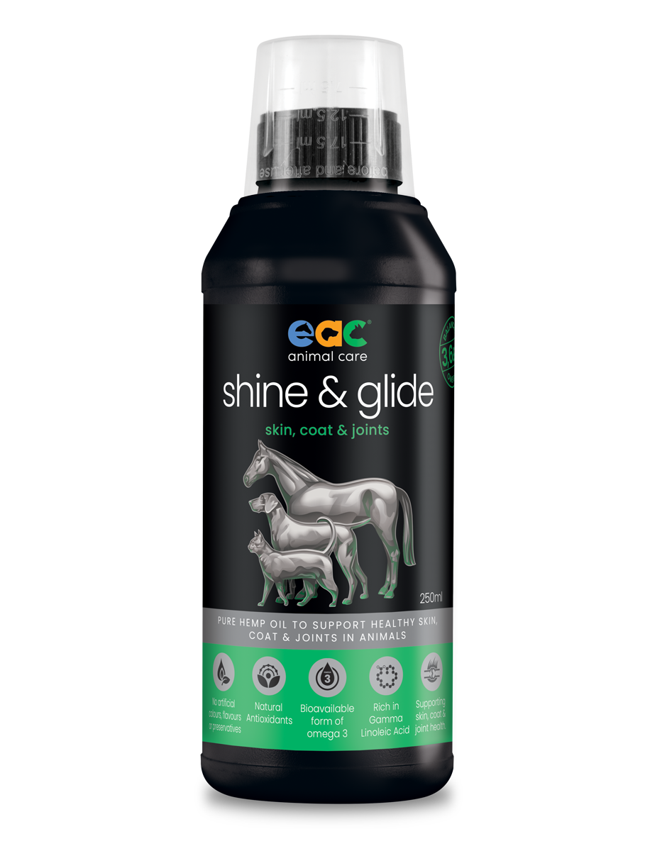 shine &amp; glide - Pure Natural Cold-Pressed Hemp Oil for Horses, Dogs and Cats