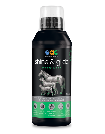 🎁 shine &amp; glide - Pure Natural Cold-Pressed Hemp Oil for Horses, Dogs and Cats (10% off)