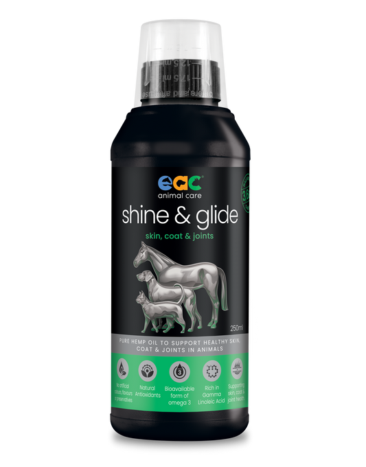 🎁 shine & glide - Pure Natural Cold-Pressed Hemp Oil for Horses, Dogs and Cats (10% off)
