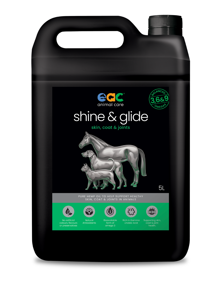 🎁 shine &amp; glide - Pure Natural Cold-Pressed Hemp Oil for Horses, Dogs and Cats (10% off)