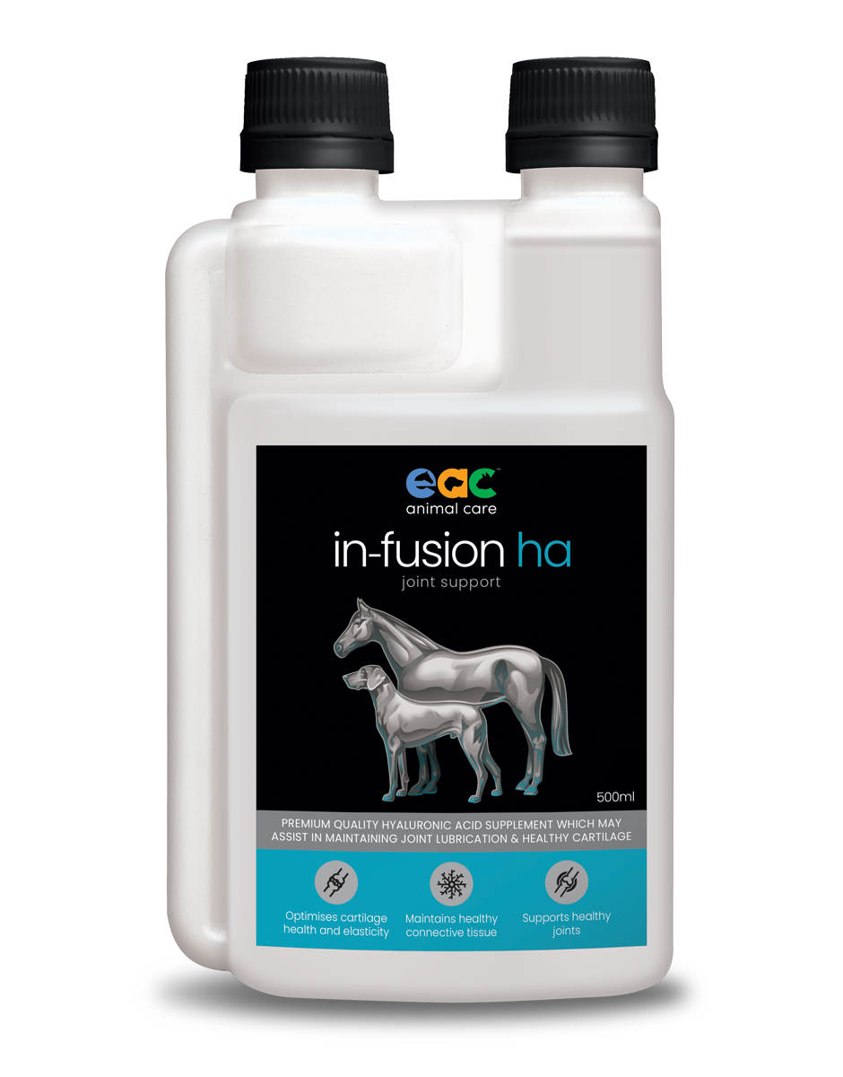 hyaluronic acid for horses 500ml