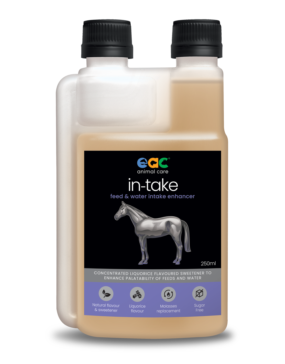in-take - Feed and Water Enhancer for Horses